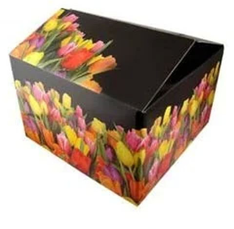 Multi Color Duplex Corrugated Box For Shipping, Pharmaceutical Packaging, Food Products Packaging