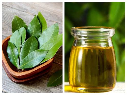 Jdt Curry Leaf Oil For Personal Care, Medicine Use, Aromatherapy