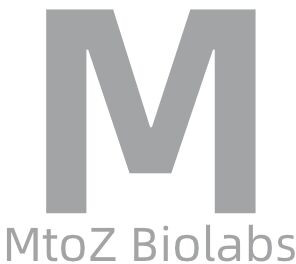 High-Resolution MS Molecular Weight Identification Service