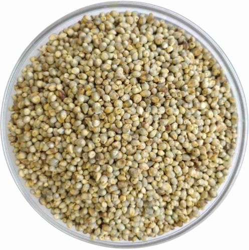 Natural Pearl Millet For Cattle Feed, Human Consumption