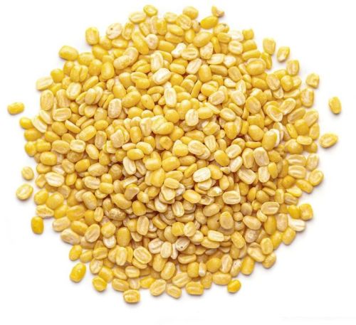 Yellow Moong Dal, Packaging Type : Plastic Pack