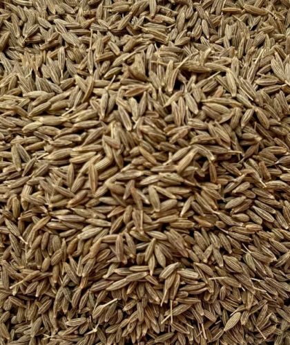 Generic Indian Blended Natural Cumine Seeds, Color : Brown