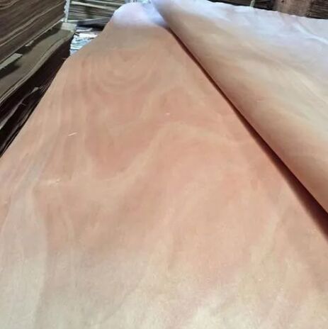 Gurjan Brown Face Veneer For Plywood Industry