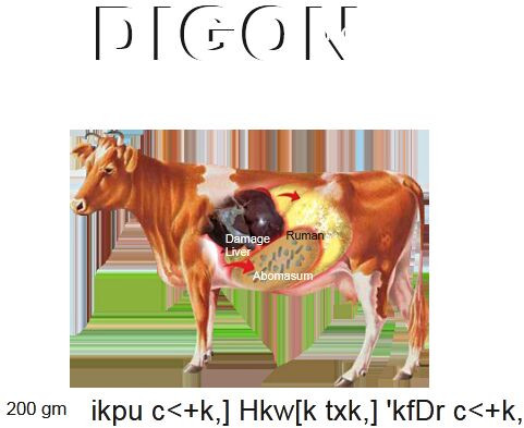 Digon Animal Feed Supplement, Packaging Type : Plastic Sachet