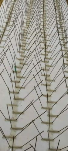 Stainless Steel Bird Spike, Length : 13.5 Inch