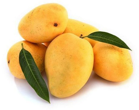 Organic Fresh Kesar Mango, Taste : Sweet