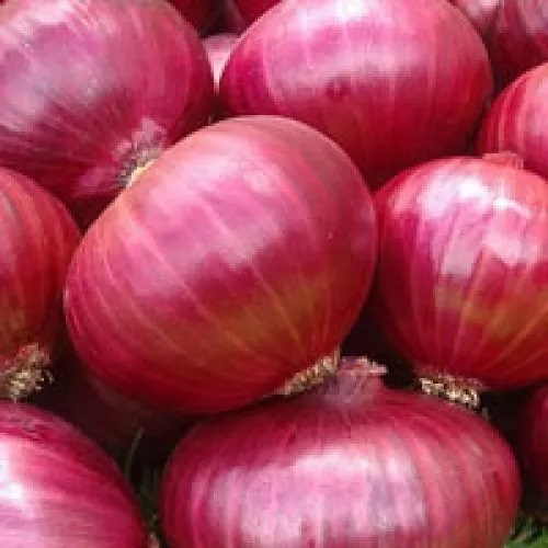 Fresh Red Onion For Cooking