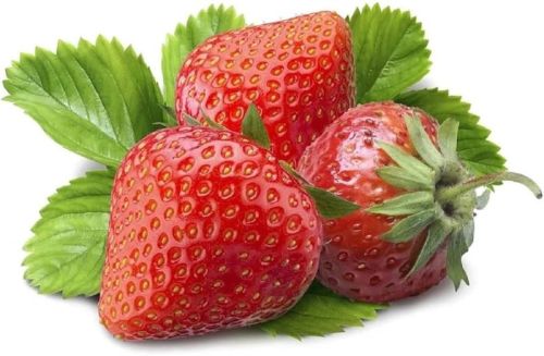 Organic Fresh Strawberry, Freezing Process : Cold Storage