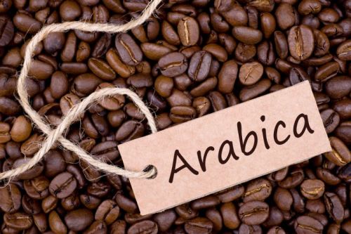 Arabic Coffee Beans, Packaging Type : Black, Packaging Size : 25 Kg