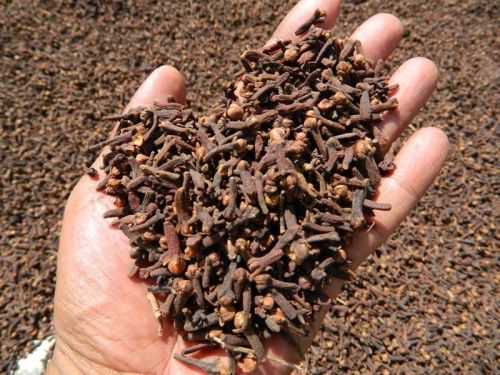 Natural CG3 Cloves Seeds, Packaging Size : 25 Kg Food Grade