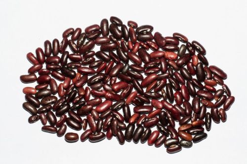 Natural Dark Kidney Beans, Packaging Size : 25 Kg for Cooking
