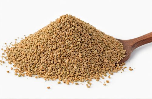 Salvin Raw Organic Carom Seeds For Food Medicine
