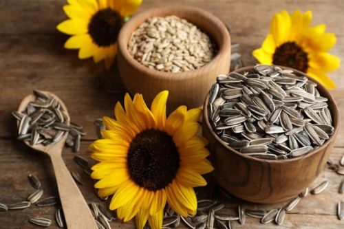 Salvin Sunflower Seeds For Business