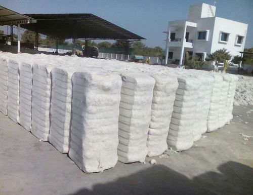 Indian Raw Cotton-v797