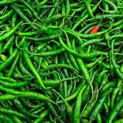 A Grade Fresh Green Chilli, Packaging Size : 20 Kg