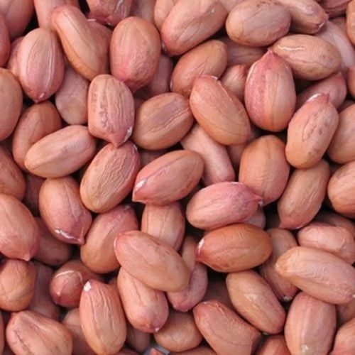 Bold Groundnut Seeds For Human Consumption