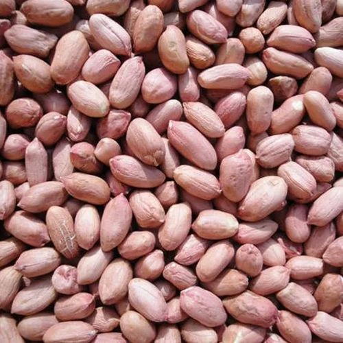 Java Groundnut Seeds For Human Consumption