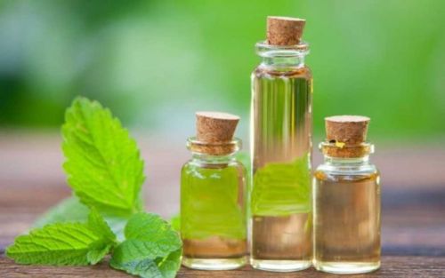 Dementholised Peppermint Oil For Pharma