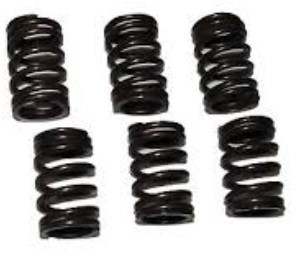 Polished Carbon Steel Plain Spring Set For Automobile Industry