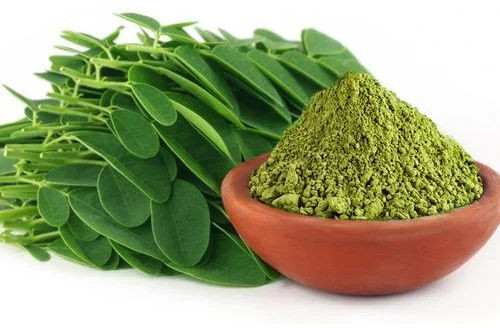 Natural Drumstick Leaves Powder, Packaging Type : Plastic Pouch