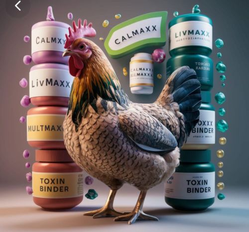 Dietary Supplements, Packaging Size : 500gm