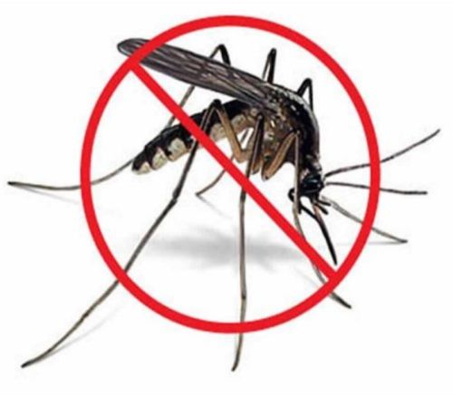 Mosquito Control Services