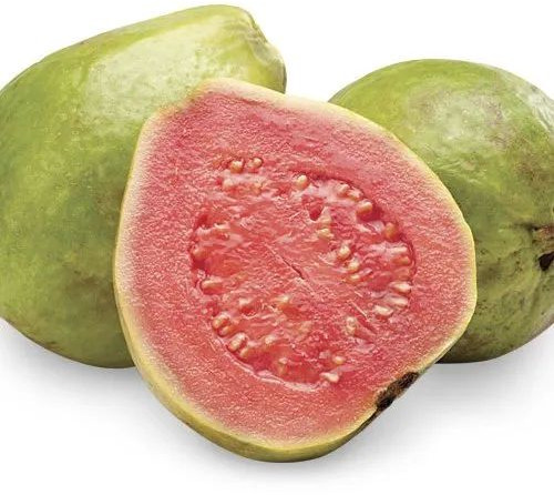 Natural Fresh Red Guava For Human Consumption