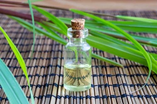 Citronella Essential Oil, Packaging Type : Plastic Bottle