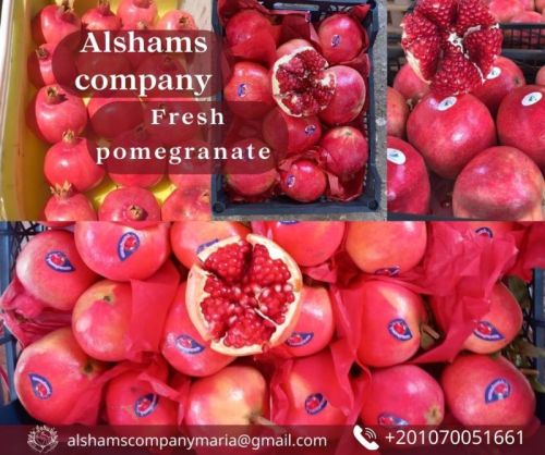 Red Natural Fresh Pomegranate, Packaging Size : 5Kg