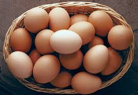 Brown Eggs For Human Consumption