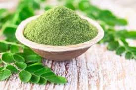 Organic Moringa Powder For Medicinal Use