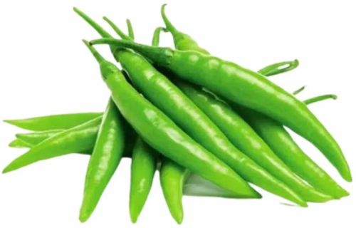 Fresh Green Chilli for Cooking