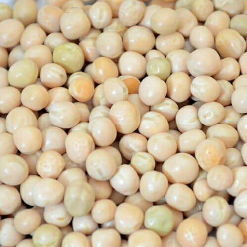 Natural White Pea Beans For Cooking