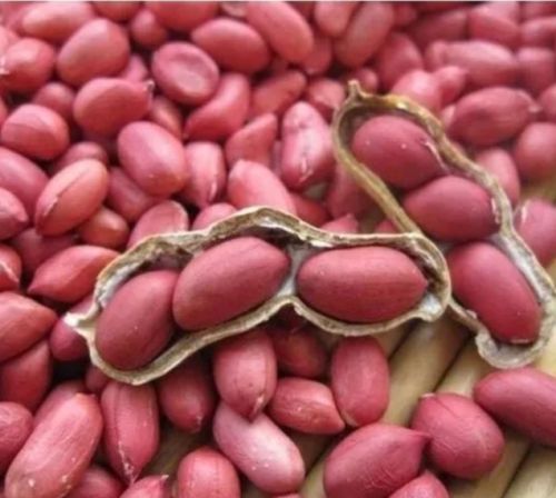 Natural Raw Red Skin Peanut for Butter, Cooking Use, Making Oil