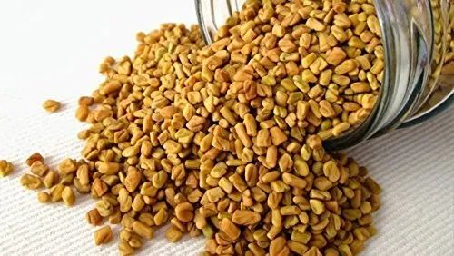 Raw Fenugreek Seeds For Cooking