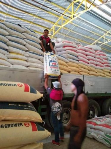 Soybean Meal Nutrimax Poultry Blend, Animal Type : Cattle