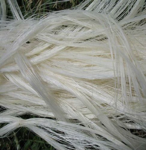 White Sisal Fiber Bundler, Model Number : WSF-100
