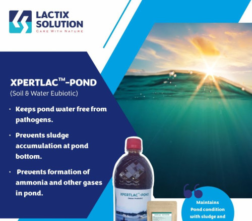 Xpertlac Aquaculture Probiotics, Grade Standard : Bio-tech Grade