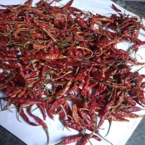 Natural Teja Dried Red Chilli For Cooking