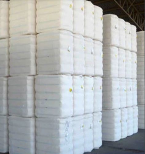 Plain White Raw Cotton Bale