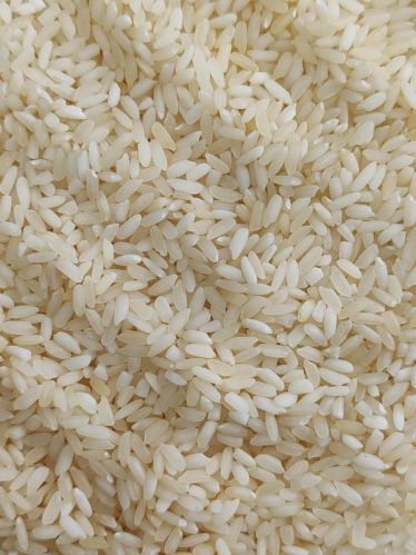 Naitik Global Natural Steam Masoori Rice For Cooking, Food, Human Consumption