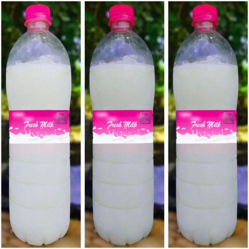 HNK Fresh Donkey Milk, Packaging Type : Plastic Bottle