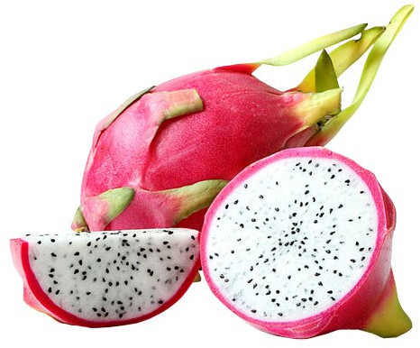 Organic Fresh White Dragon Fruit For Human Consumption