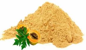 Common Papaya Powder, Packaging Type : Plastic Packet