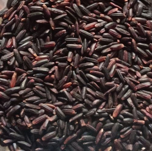 Saja Gold Organic Black Rice For Human Consumption