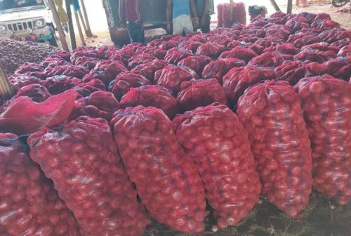 Onion, Packaging Size : 25 Kg