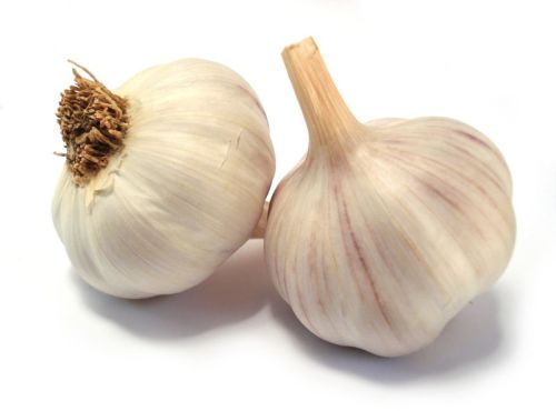 Fresh Garlic For Cooking