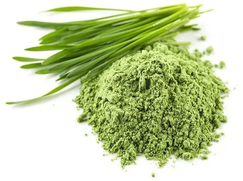 Wheatgrass Powder, Packaging Type : Bag