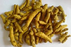 Lakadong Turmeric Finger For Cooking