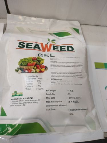 Seaweed Gel, Packaging Type : Plastic Packets